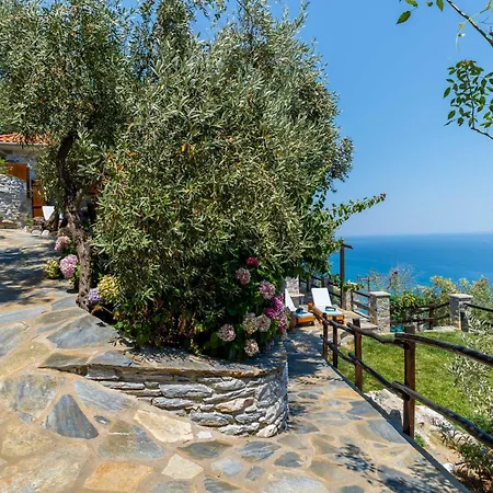 Barbarella Luxury Lejlighed