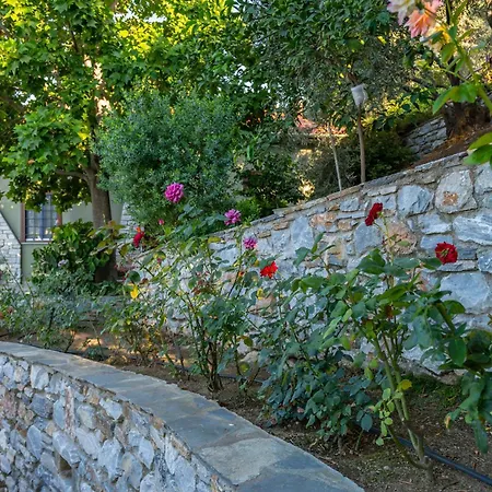 Lejlighed Barbarella Luxury Agios Ioannis (Thessaly)