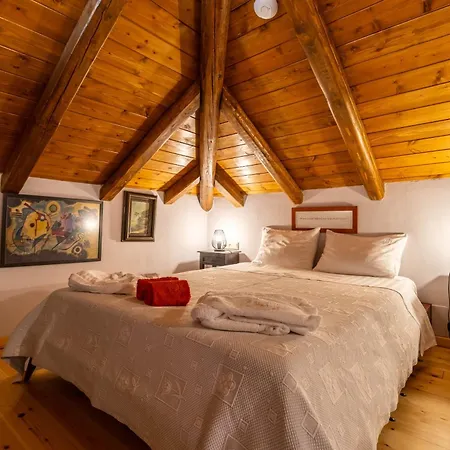 Lejlighed Barbarella Luxury Agios Ioannis (Thessaly)