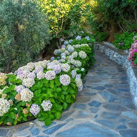 Barbarella Luxury * Agios Ioannis (Thessaly)